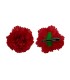 CLAVEL CON PINZA