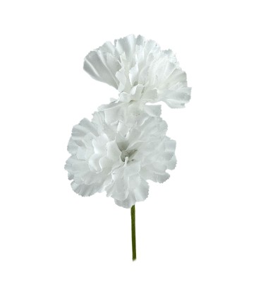 CLAVEL DOS CABEZAS