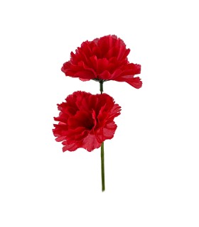 CLAVEL DOS CABEZAS