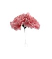 CLAVEL DOS FLORES