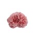 CLAVEL DOS FLORES