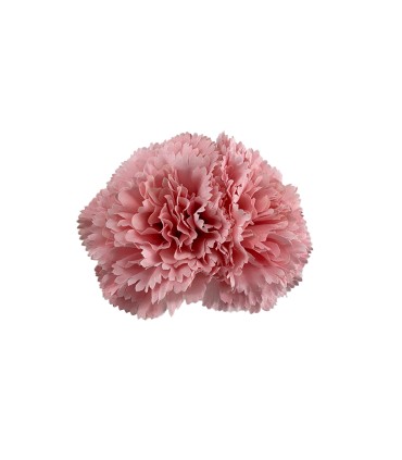 CLAVEL DOS FLORES