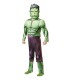 DISFRAZ HULK DELUXE