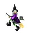 BRUJA VOLADORA