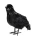 CUERVO PLUMAS 27CM