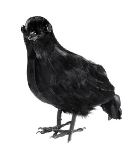 CUERVO PLUMAS 27CM