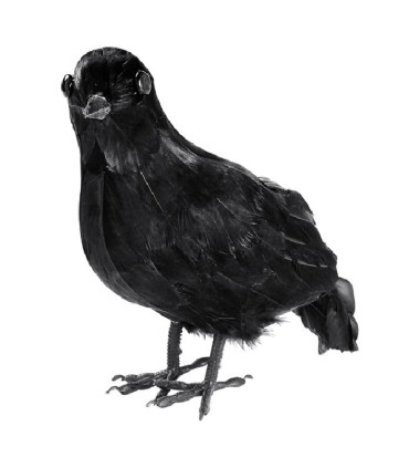 CUERVO PLUMAS 27CM