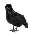 CUERVO PLUMAS 27CM