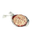 CEREBRO POSTIZO LATEX