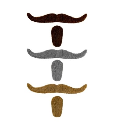 BIGOTE PERILLA CABA