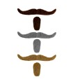 BIGOTE PERILLA CABA