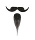 BIGOTE PERILLA MOSQUETERO
