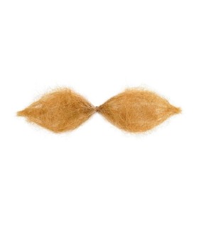BIGOTE SCHNAUZER RUBIO