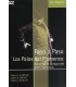 PASO A PASO. LOS PALOS DEL FLAMENCO