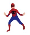 DISFRAZ HOMBRE ARAÑA NIÑO
