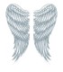 EXTRA LARGE WINGS