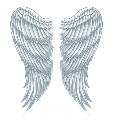 EXTRA LARGE WINGS