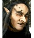 NARIZ DUENDE