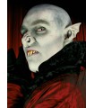 OREJAS DE VAMPIRO