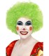 PELUCA PAYASO LOCO VERDE