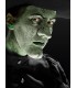 SCARY SKIN VERDE